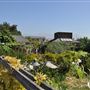 California State Polytechnic University, Pomona - Cal Poly Pomona