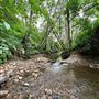 131 Tunitas Creek Rd.