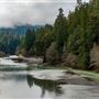John B. Dewitt Redwoods State National Reserve (SNR)