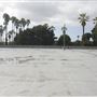 El Camino College