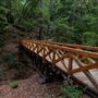 Portola Redwoods State Park (SP)