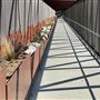 Mark Ridley Thomas Bridge located Kenneth Hahn State Recreational Area (SRA)