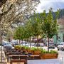 City of Calistoga