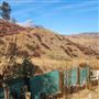 Ranch farmhouse, 4 acres