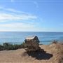 El Pescador State Beach @ Robert H. Meyer Memorial State Beach (SB) - CFC