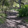 Descanso Gardens