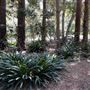 Descanso Gardens