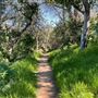 Descanso Gardens