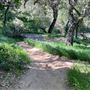 Descanso Gardens