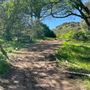 Descanso Gardens