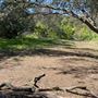 Descanso Gardens