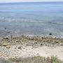 La Piedra State Beach @ Robert H. Meyer Memorial State Beach (SB) - CFC