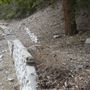 Crystal Lake Recreation Area / Campground - Angeles National Forest