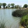 Mojave Narrows Regional Park