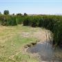 Mojave Narrows Regional Park