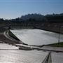 Rose Bowl Stadium
