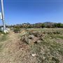 Rio de Los Angeles State Park (SP) - Taylor Yard - Inter Agency - LA City Parks & CA State Parks