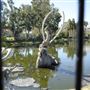 La Brea Tar Pits - George Page Museum