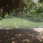 Ernest E. Debs Regional Park