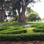 Presidio Trust - BRAC