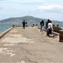 Presidio Trust - BRAC