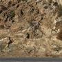 Angeles Crest Highway - SR2