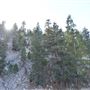 Angeles Crest Highway - SR2