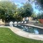 Tarzana Home Reimagined
