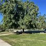 Rancho Jurupa Regional Park