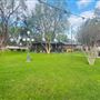 The Farm