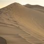 Dumont Dunes - Bureau of Land Management - BLM