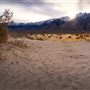 Olancha Sand Dunes - Bureau of Land Management - California Desert District - Ridgecrest Field Office - BLM - Off Highway Vehicle Area - OHV