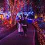 Cambria Pines Lodge & Cambria Christmas Market