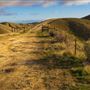 Panoche Hills - BLM
