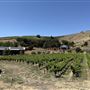McPrice Myers Wines