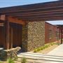 The Painted Turtle Camp
