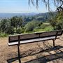 Griffith Park Redwoods - Cedar Grove