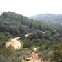 Griffith Observatory - Griffith Park