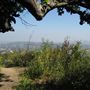Griffith Observatory - Griffith Park
