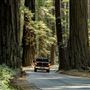 Humboldt Redwoods State Park (SP)