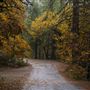 Malakoff Diggins State Historic Park (SHP)