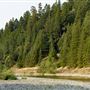 Richardson Grove State Park (SP)