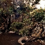 Los Angeles County Arboretum