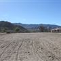 Old Equestrian Ranch