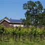 Olivet Grange Vineyard