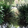 Los Angeles County Arboretum