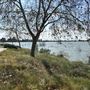 Peck Road Water Conservation Park