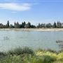 Peck Road Water Conservation Park