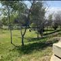 Peck Road Water Conservation Park