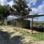 DAM Ranch